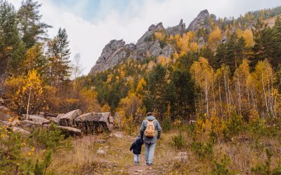 Improving Dementia Care in Rural and Remote Communities: Actions for Moving Forward