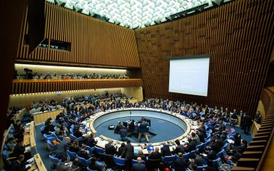 WHO Confirms Continuation of Official Relations with IFA