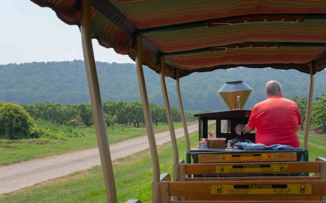 Train conductor at Puddicombe Farms - Stoney Creek, ON